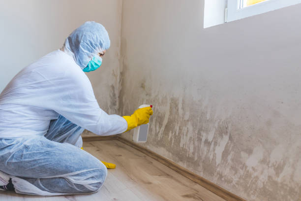 Licensed Mold Removal service in Jefferson, MD - WQB Mold Removal