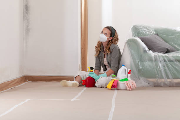 Reliable Mold Removal contractor in Jefferson, MD by WQB Mold Removal
